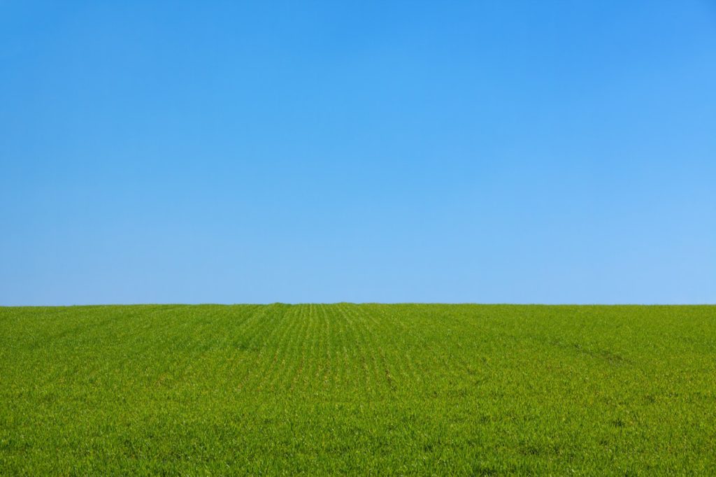 5 tips for a better lawn